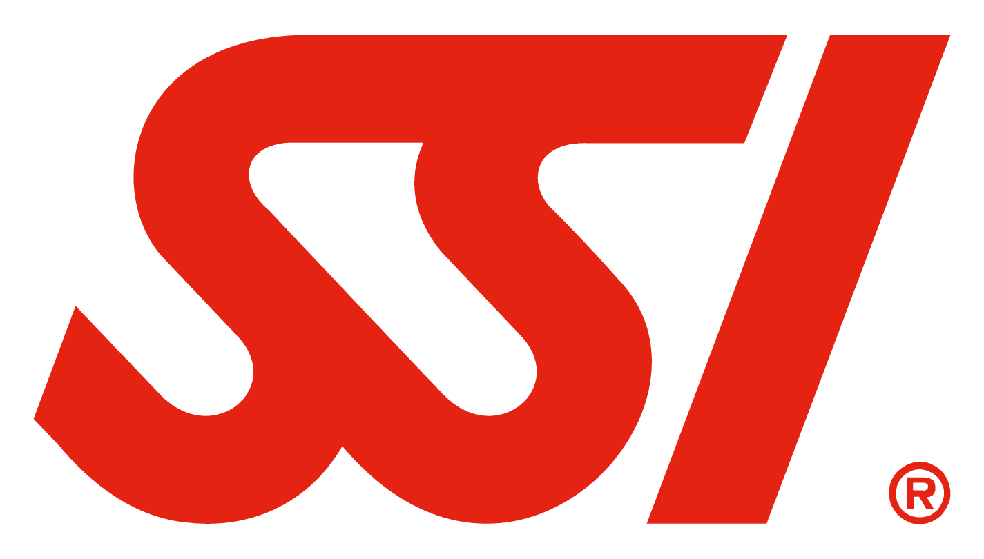 ssi-logo